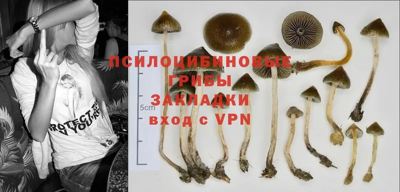 цены наркотик  кракен зеркало  Галлюциногенные грибы MAGIC MUSHROOMS  Калязин 